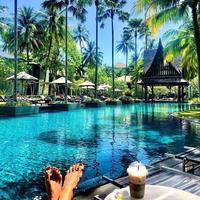 Отзыв от Лариса - Виза Destination Thailand